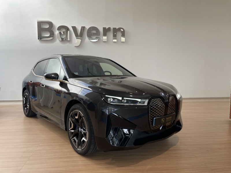 BMW iX xDrive40 326 ch 